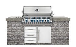 Napoleon Grills Built-in Prestige PRO 665 with Infrared Rear Burner Stainless Steel Natural Gas  ...